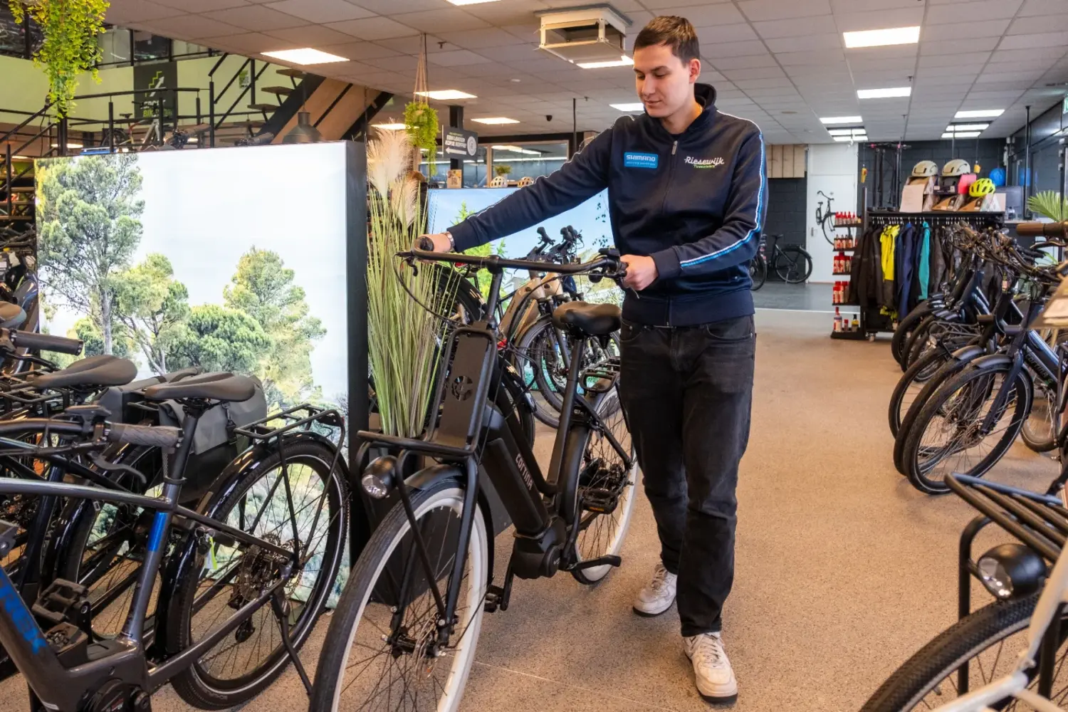 Persoonlijk fietsadvies bij Riesewijk